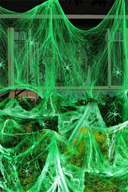 Glow-In-The-Dark Spider Web with Spiders