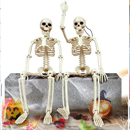 Life-Size Halloween Skeleton