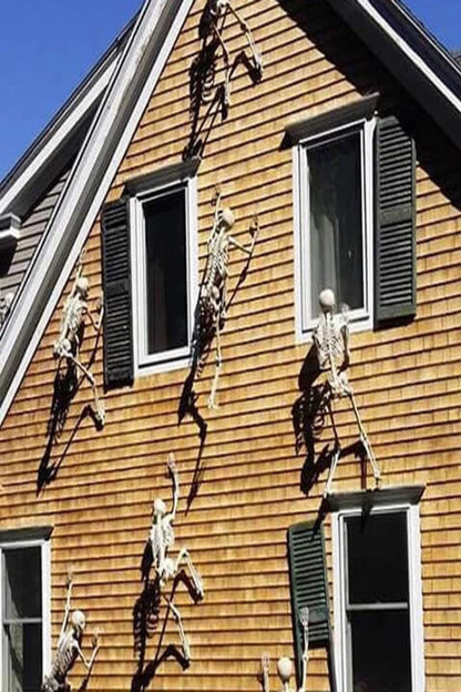 Life-Size Halloween Skeleton