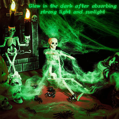 Glow-In-The-Dark Spider Web with Spiders