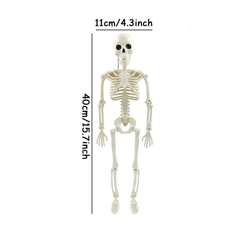 Life-Size Halloween Skeleton